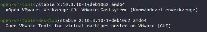 sudo apt install open-vm-tools