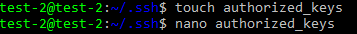 touch
nano